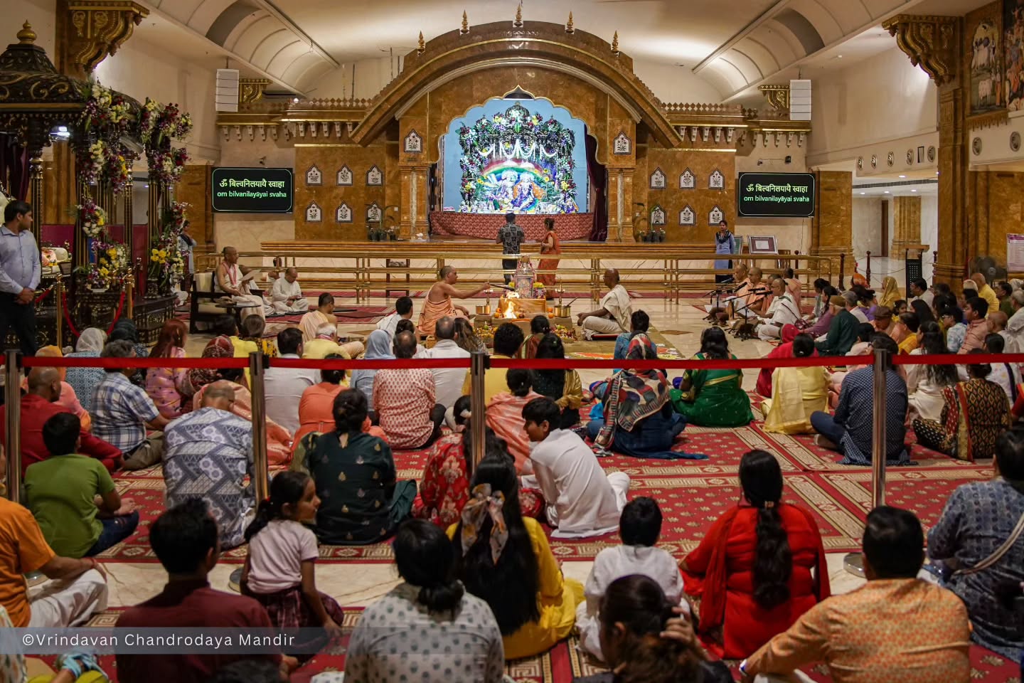 Festivals Gallery Link