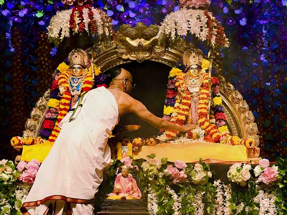 Festivals Gallery Link